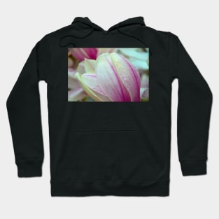 Rain on Magnolia Hoodie